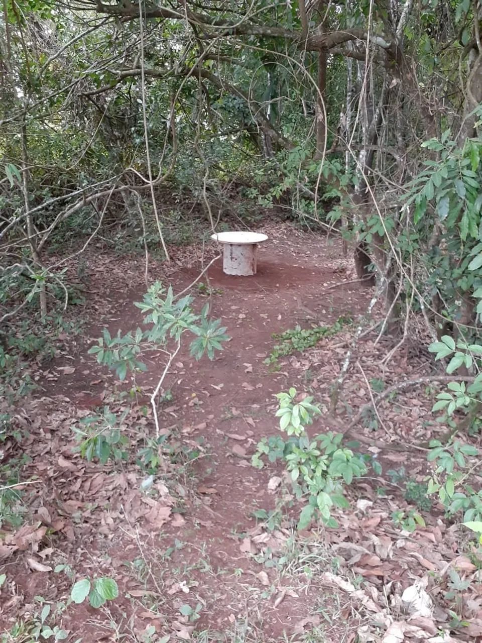 Lote Chácara Nova Veneza - Foto 4