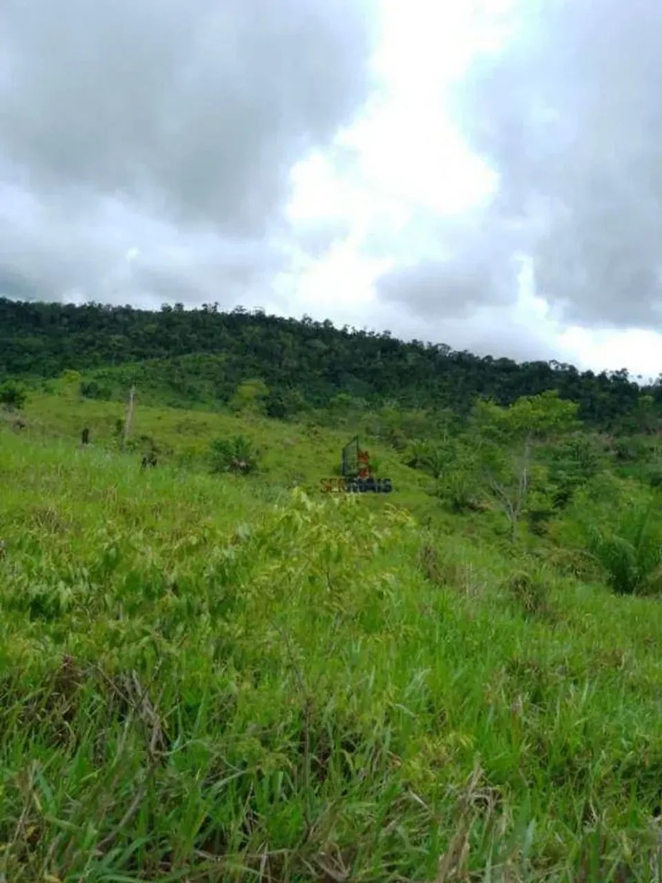 Sítio à venda - Urupá/RO