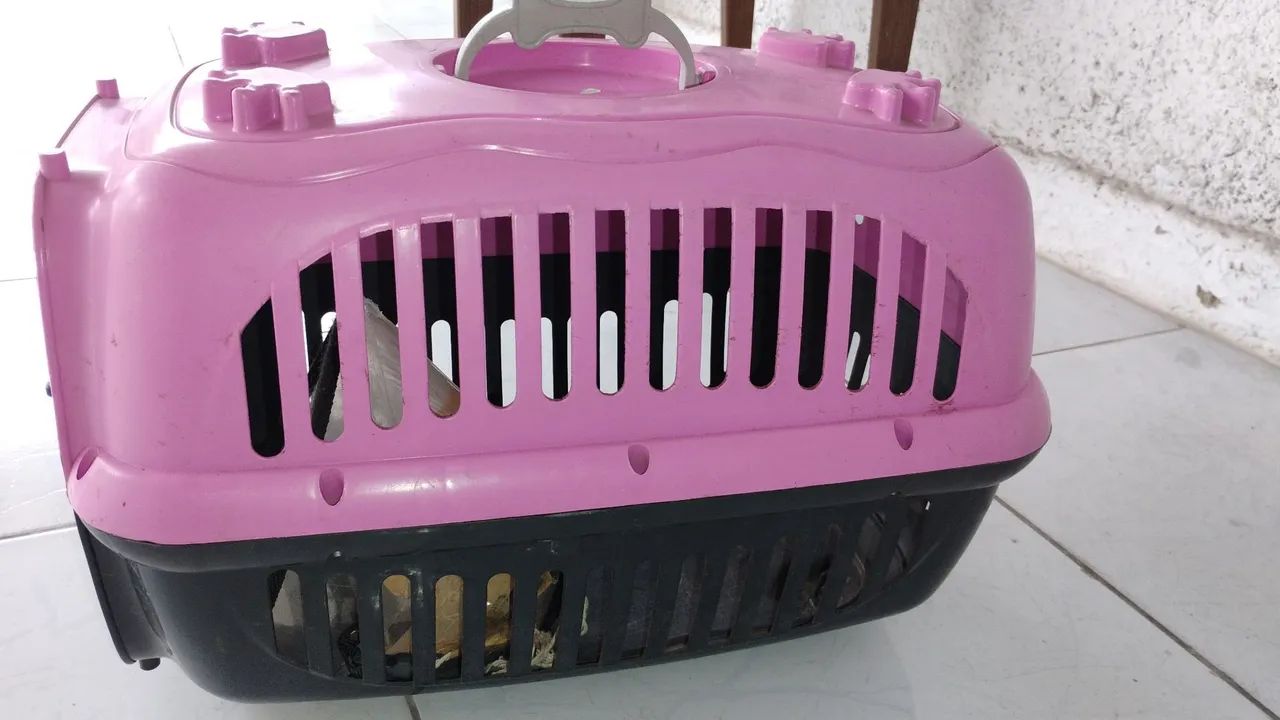 Caixa de transporte para animais - Foto 3