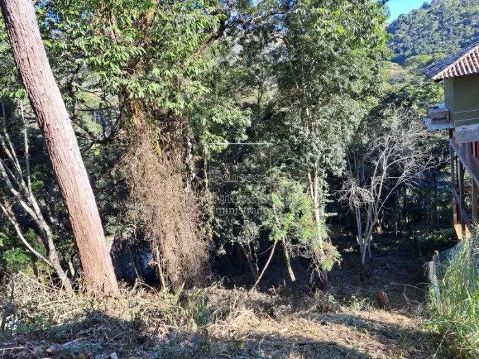 PETRóPOLIS - Terreno Padrão - Nogueira - Foto 5