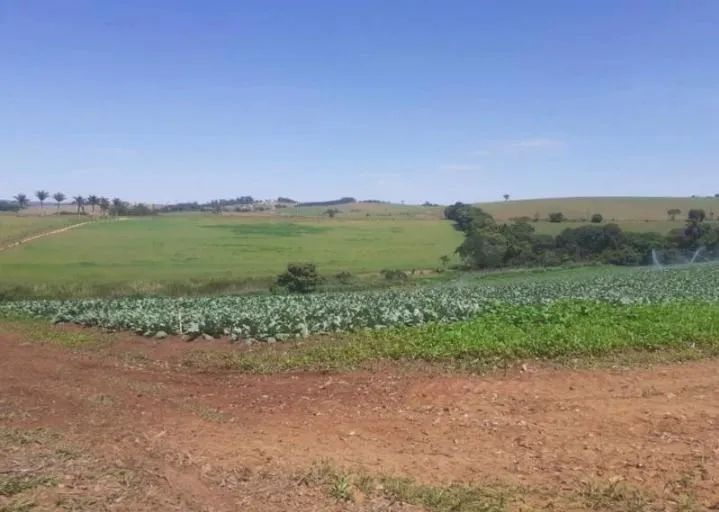 terreno - Caminho das águas - Tuiuti - Foto 3