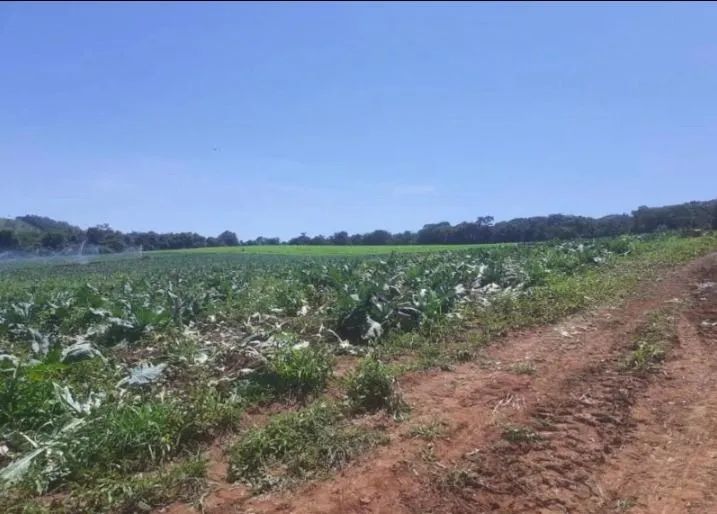 terreno - Caminho das águas - Tuiuti - Foto 2