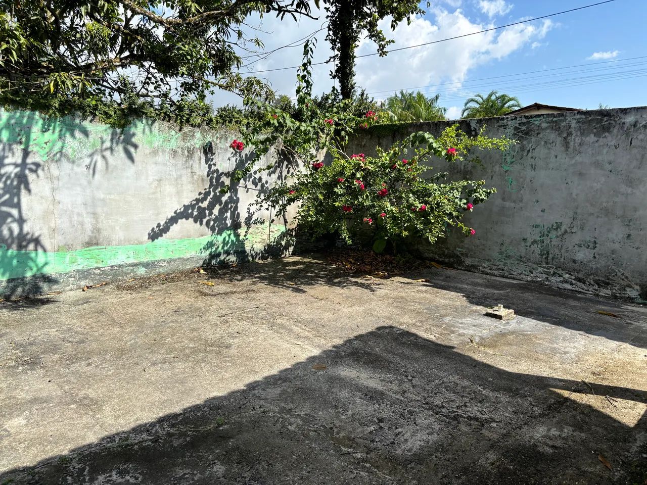 Casa no murubira - Foto 4