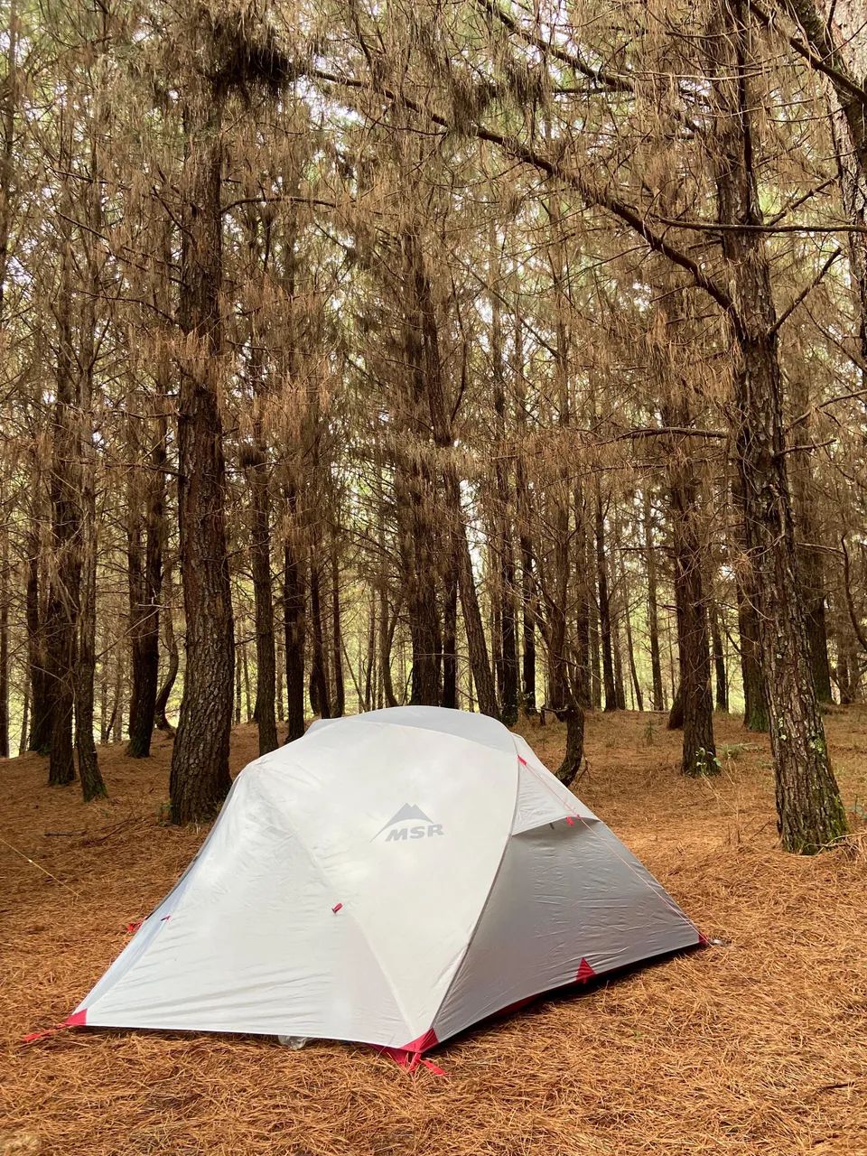 Barraca MSR Elixir 3 pessoas Usada - Foto 2