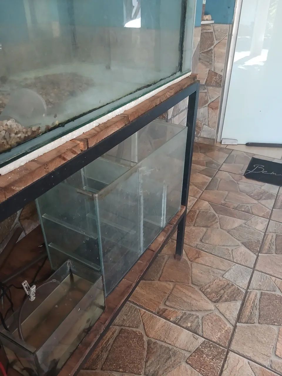 Aquário.  - Foto 3