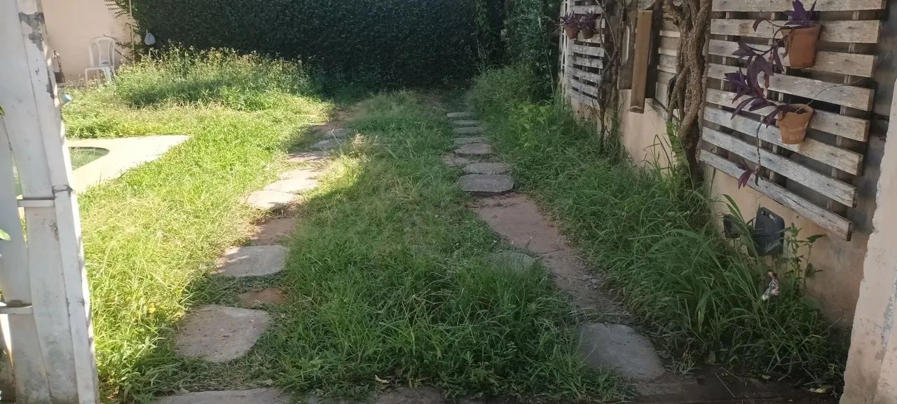 Ofereço meus serviços de jardim - Foto 3