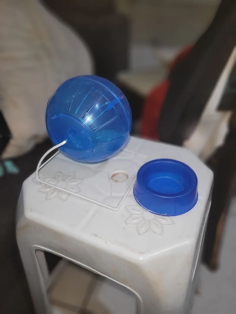kit para hamster - Foto 3