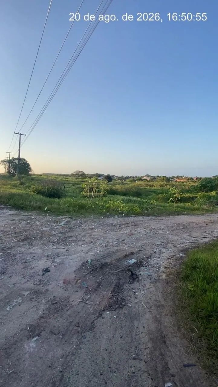 Terreno em Muriú  - Foto 4