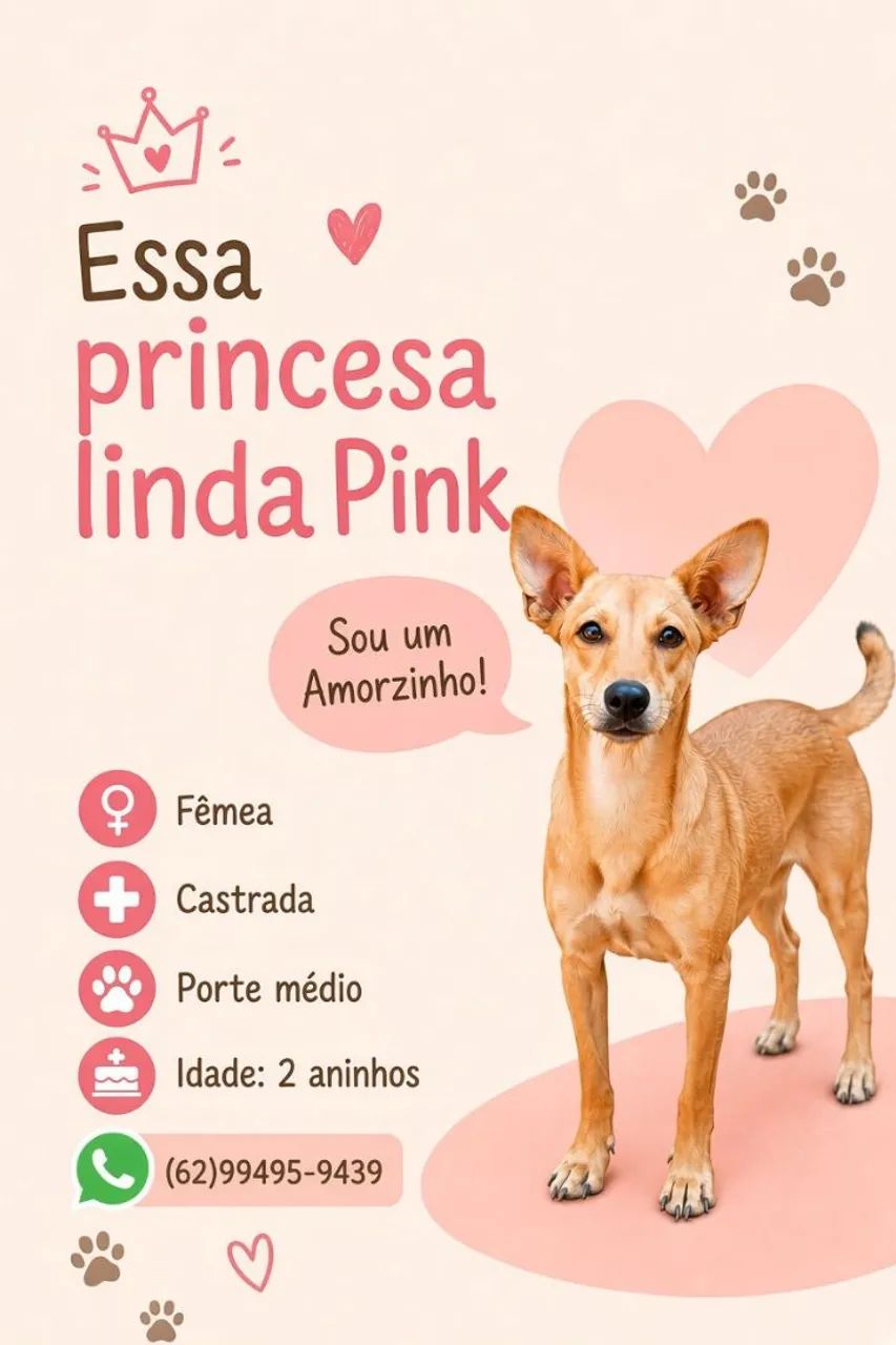 Pet's para adoção responsável 