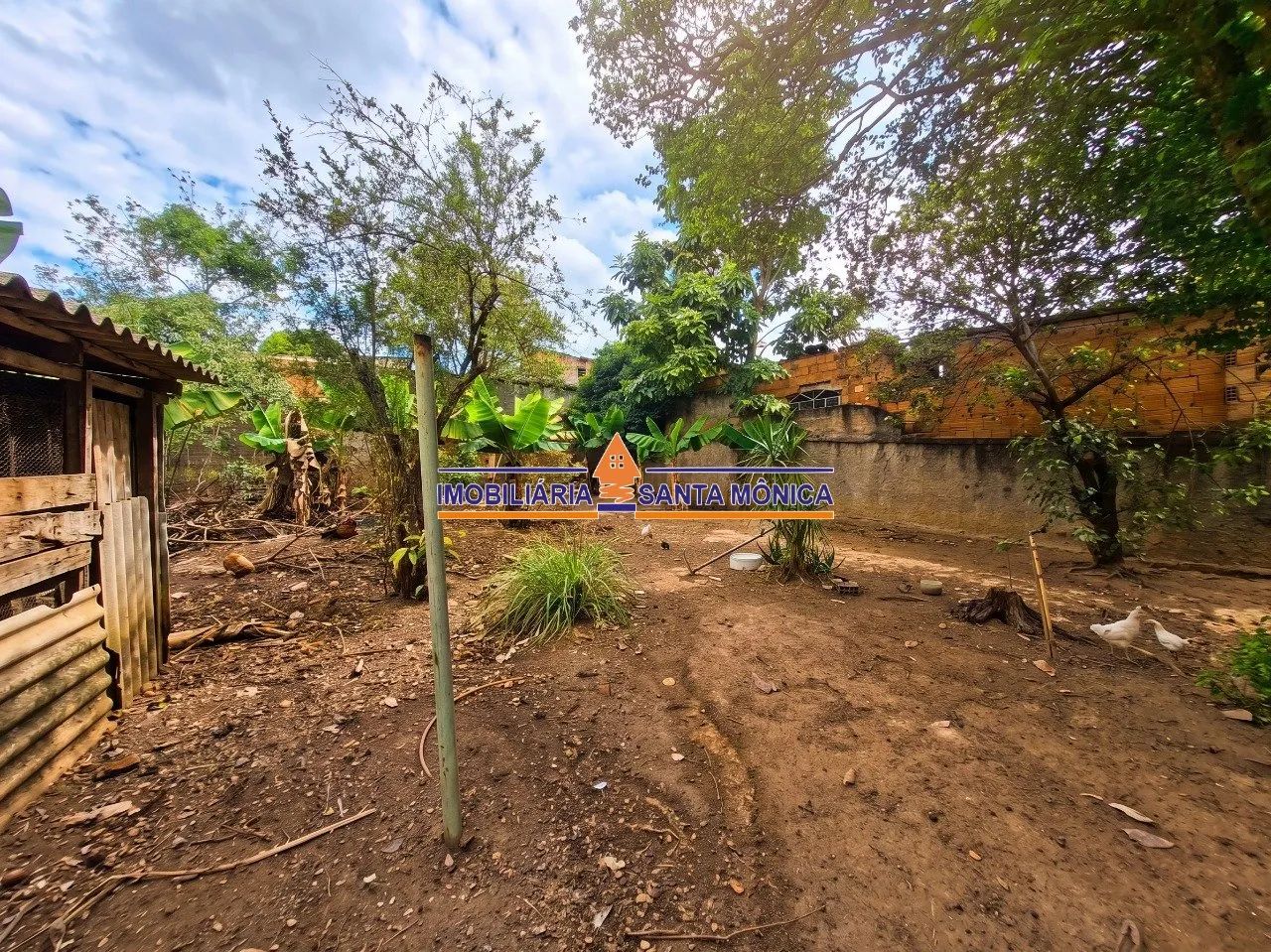 Lote 364m² - Santa Amélia - Foto 5