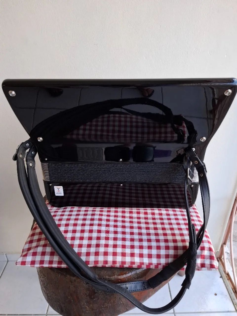 SANFONA TODESCHINI SUPER 6 - Foto 3