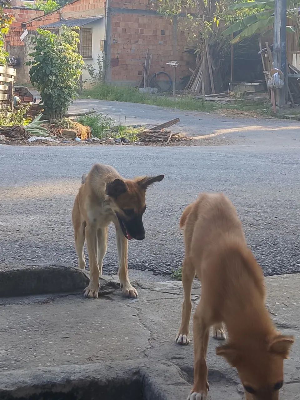 Doação  - Foto 2