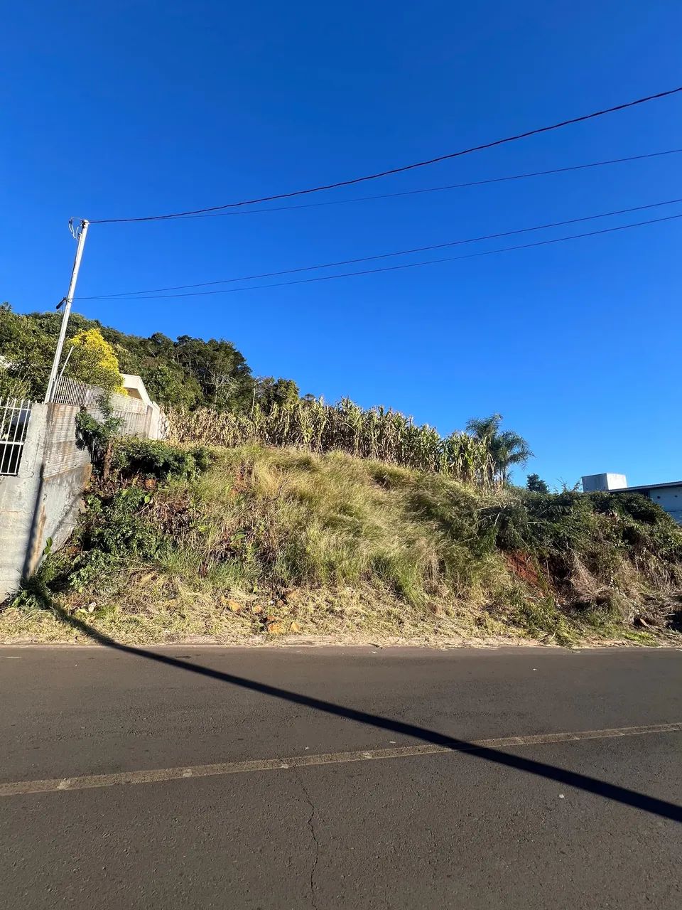 Terreno  - Foto 2