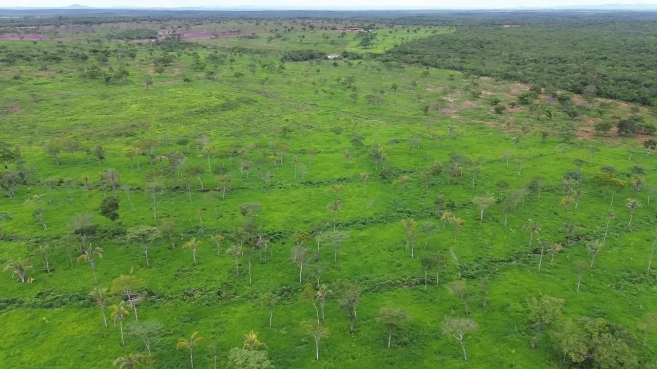 Fazenda no Tocantins  - Foto 4