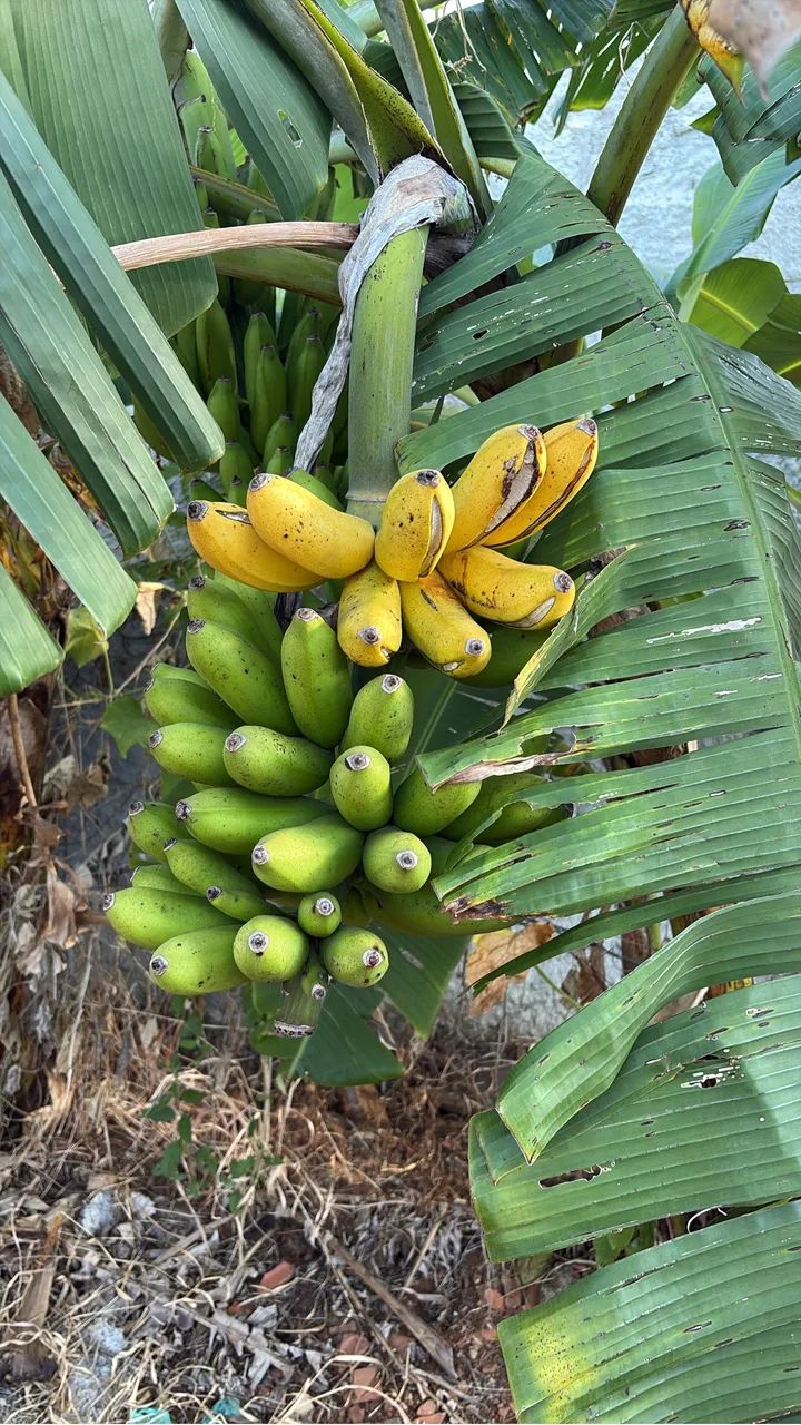 Vendo lote em águas lindas  - Foto 2