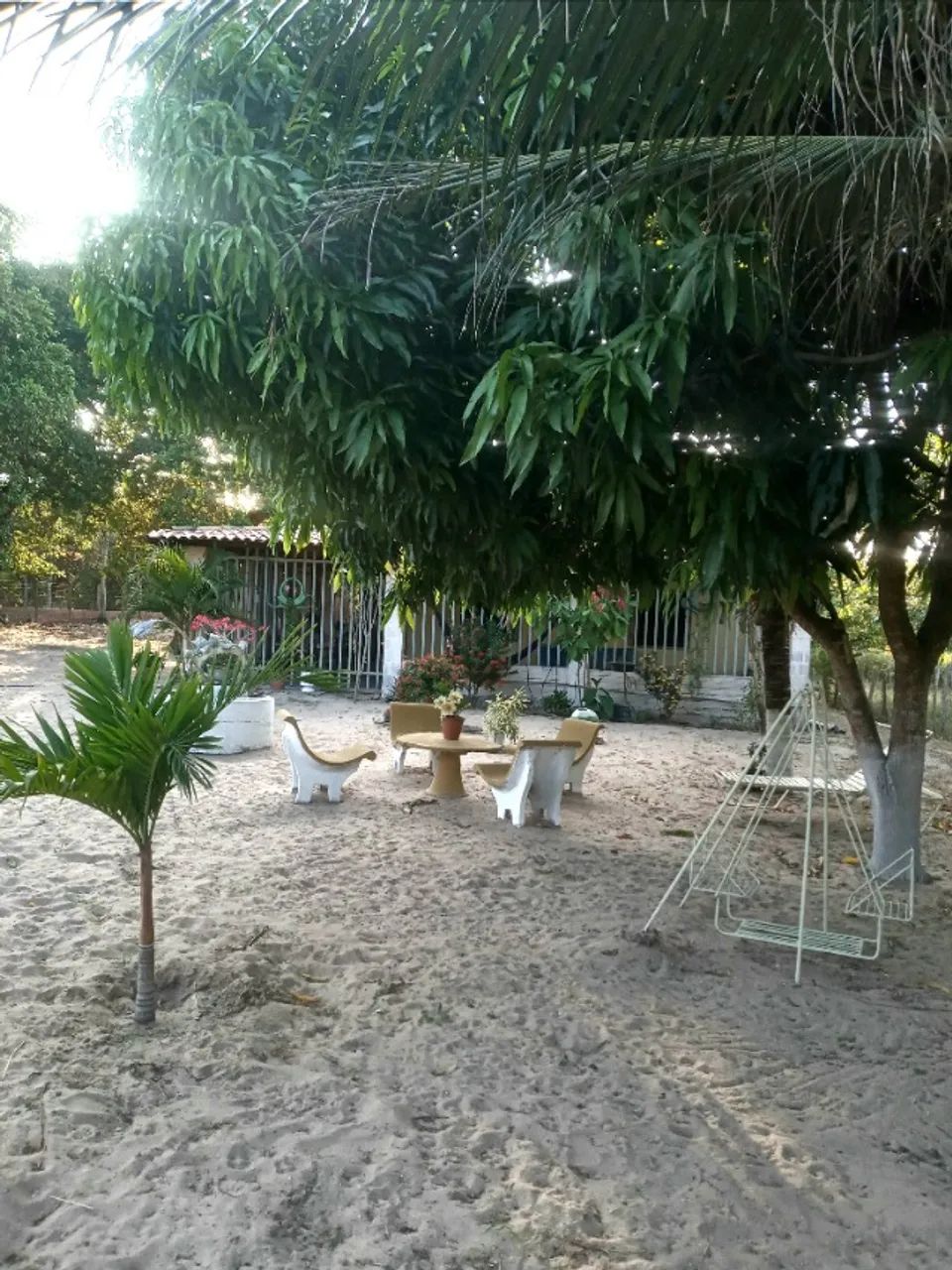  Sítio em Pacajus  7.500m2 - Foto 4