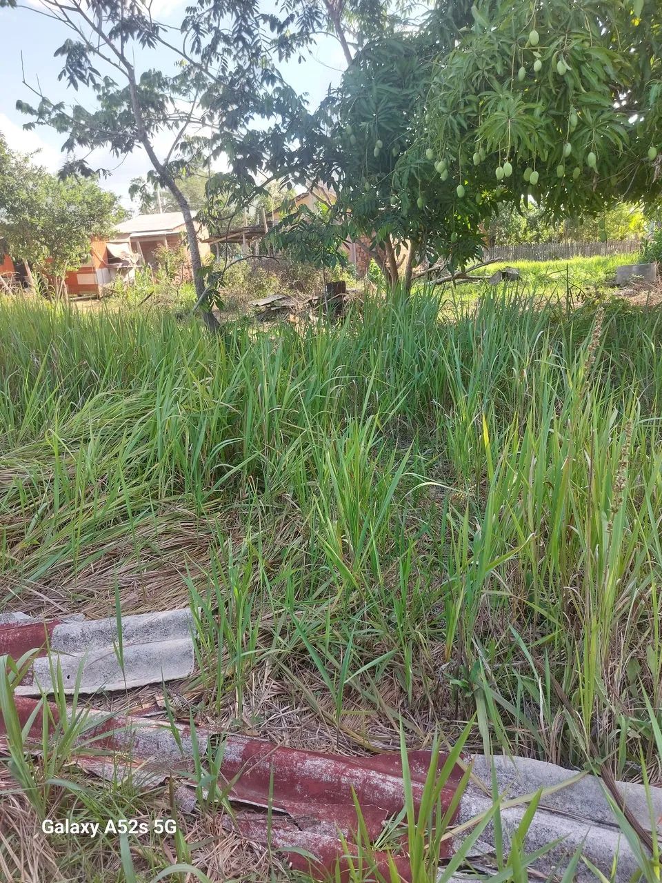 Não  - Foto 2