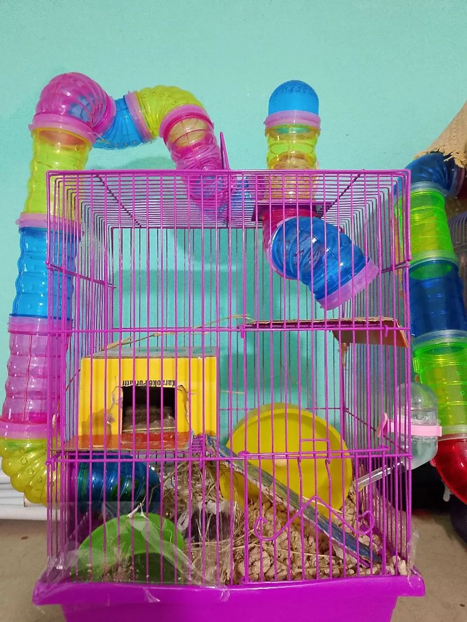 Hamster sírio com gaiola  - Foto 3