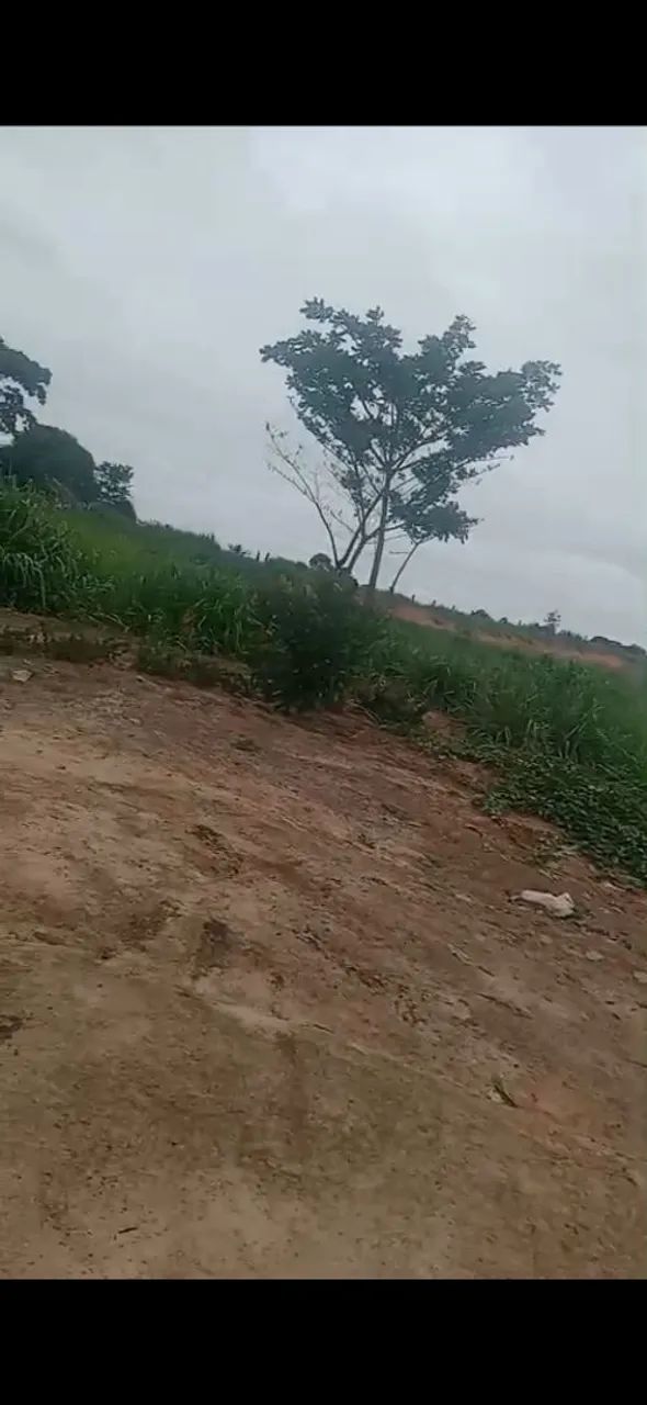 Vende se Terra - Foto 4