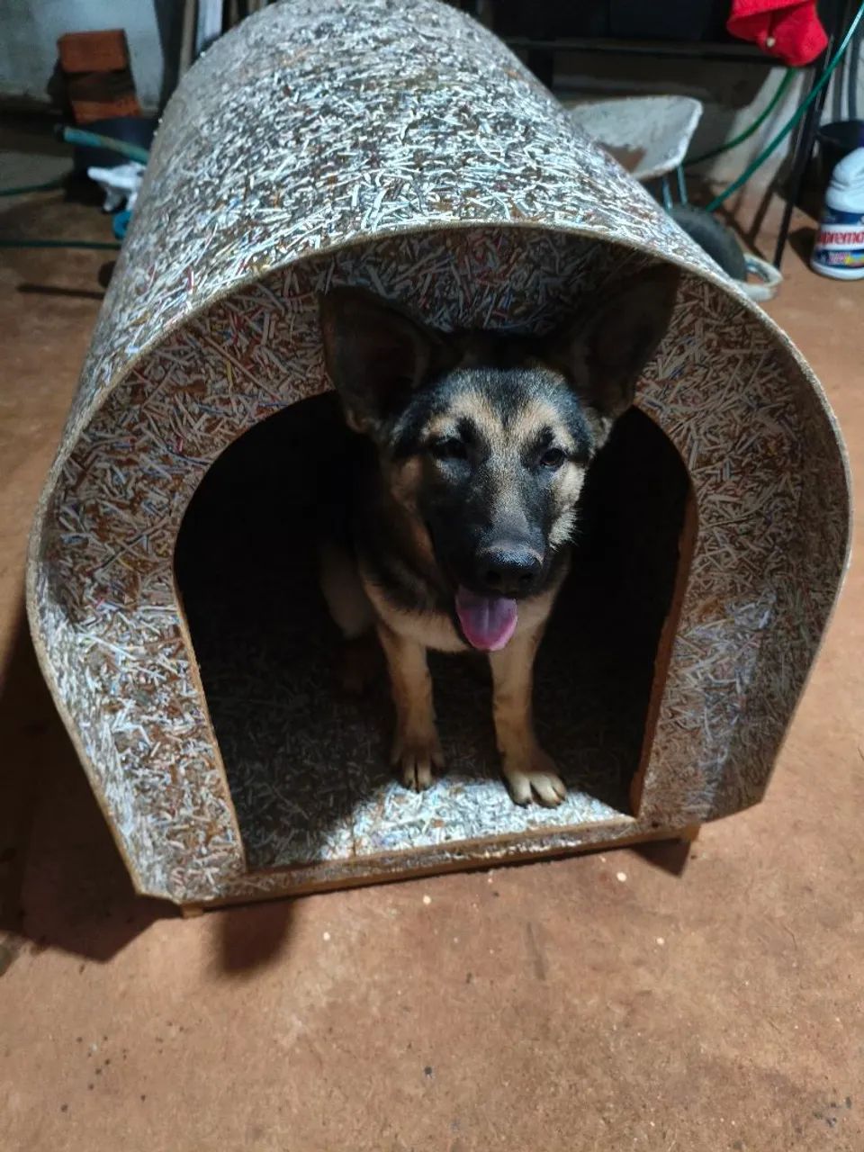 Casinha e cercado pet - Foto 2