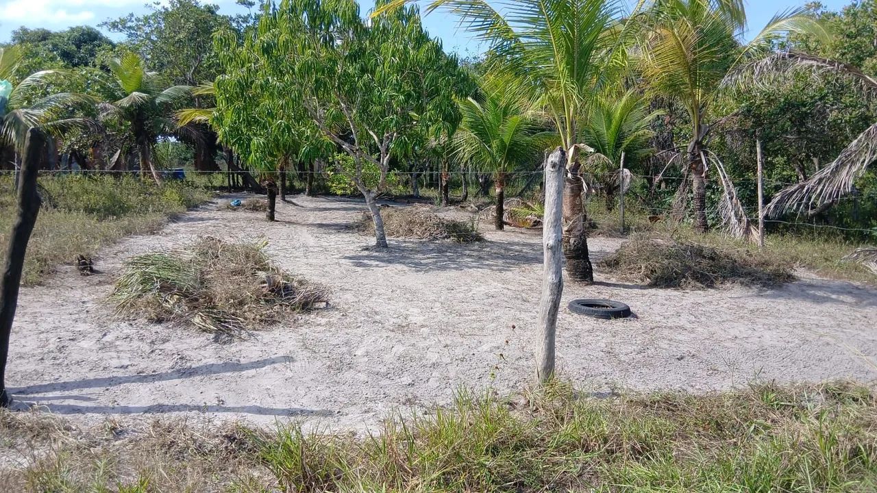 Terreno á venda