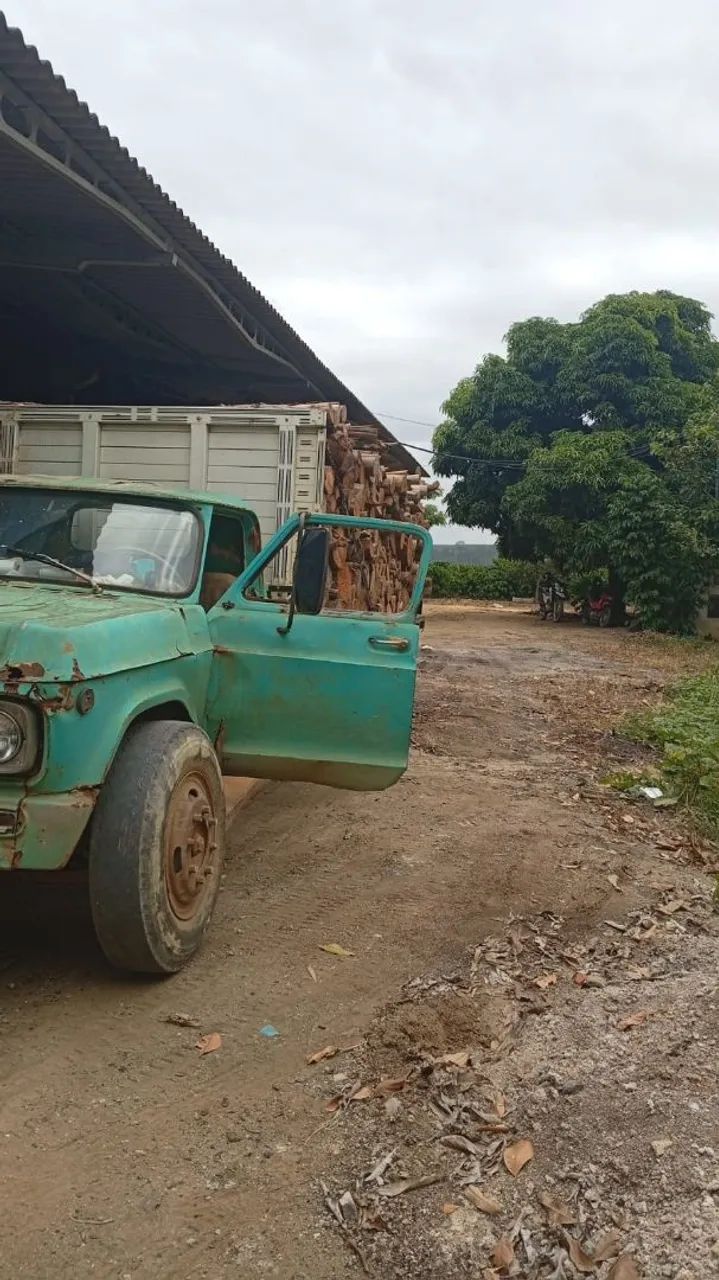 Vendo caminhão (leia) - Foto 2