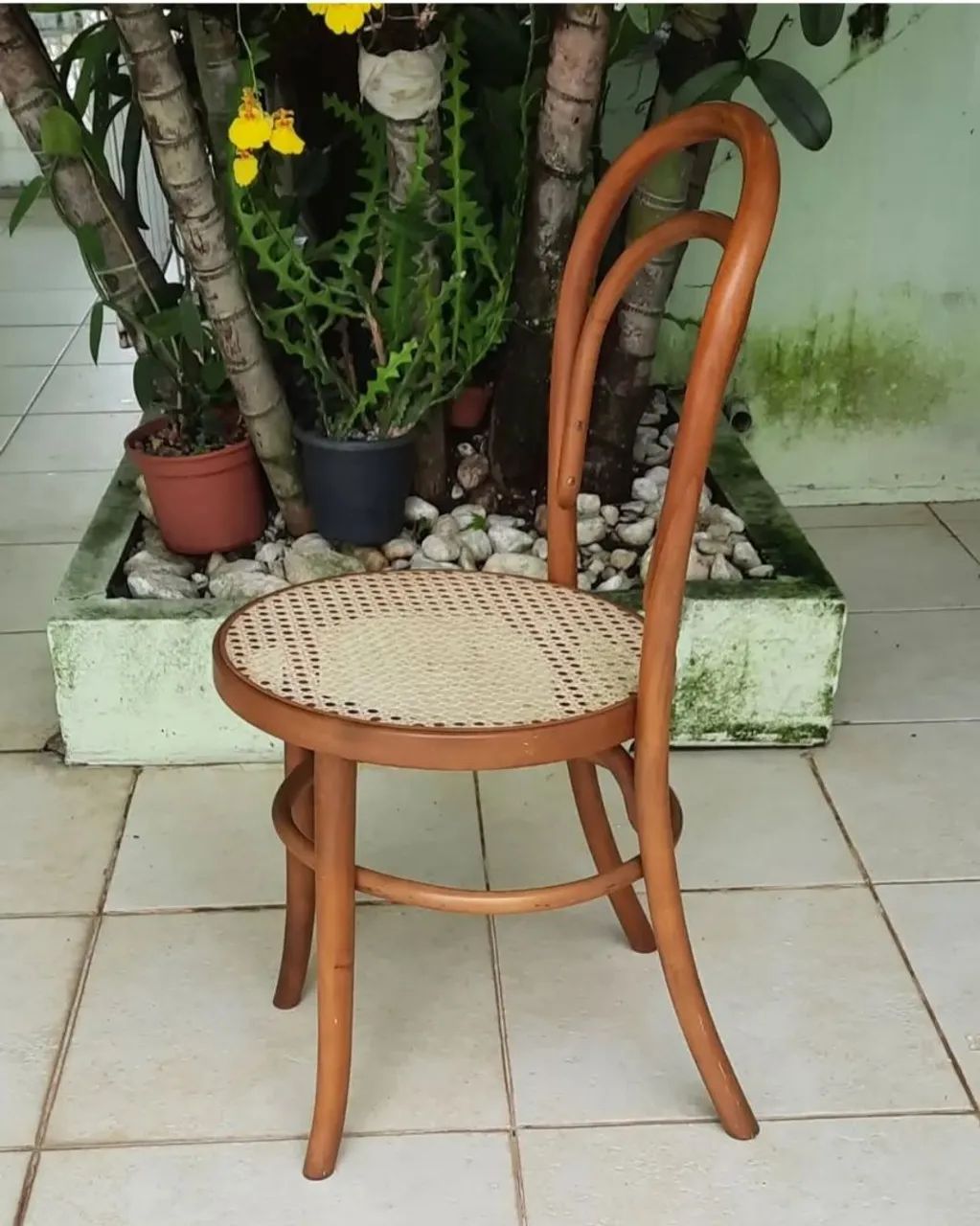 Rara e Bela Cadeira Thonet - Foto 3