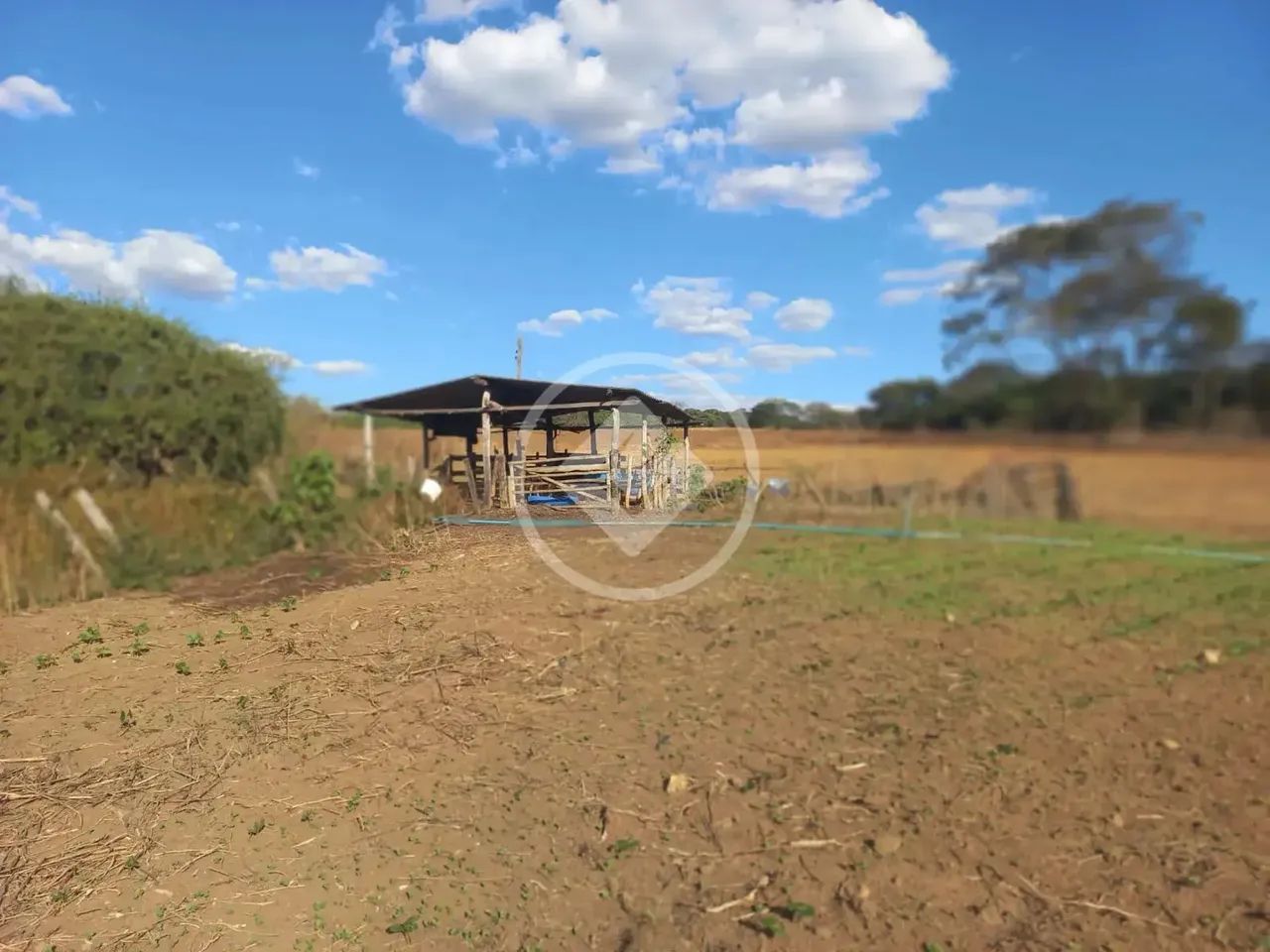 Goianápolis - Chácara de 4 Alqueires codigo: 266437 - Foto 4