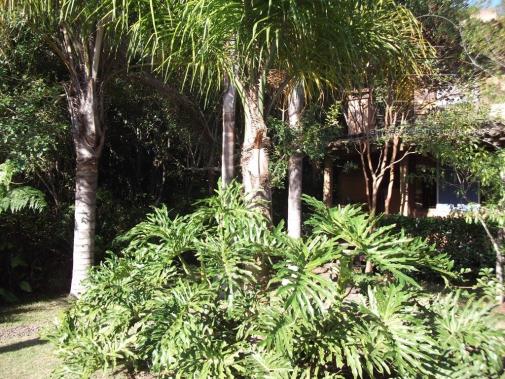 Casa à venda com 2 dormitórios em Grama, Garopaba cod:627 - Foto 7