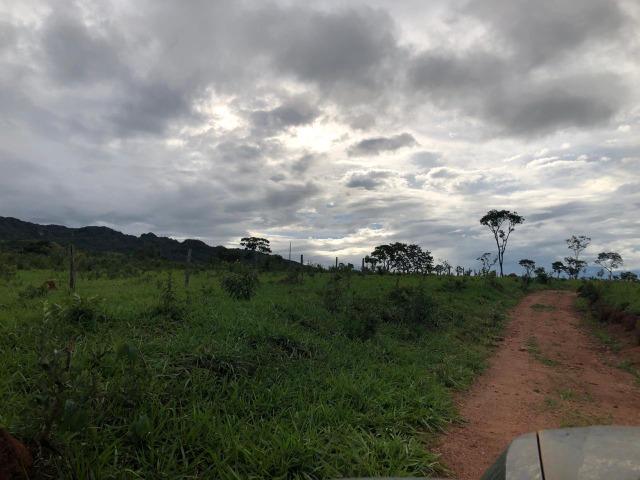 240 Alq. 160 km de Goiânia. (Gado e Soja) - Foto 8