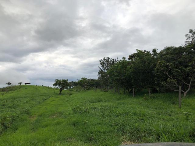 240 Alq. 160 km de Goiânia. (Gado e Soja) - Foto 9