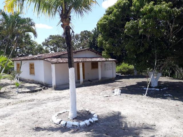 Belíssimo sitio em Chã Grande (o melhor e mais saudável clima de PE) - Foto 5