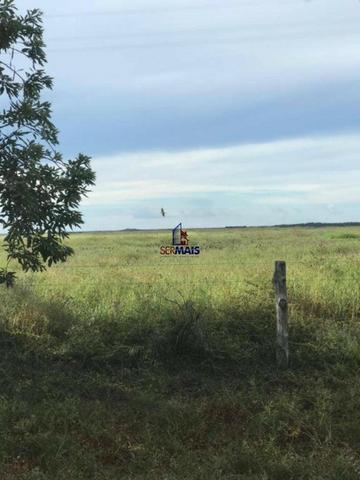Fazenda a venda no estado do mato grosso
