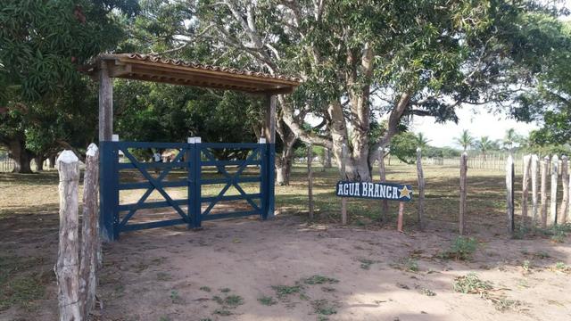 Fazenda para eventos ou temporada em São Gonçalo dos Campos Ba - Foto 15