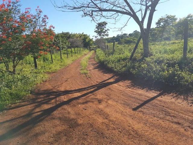 Fazenda de 100 ha em Sacramento/MG