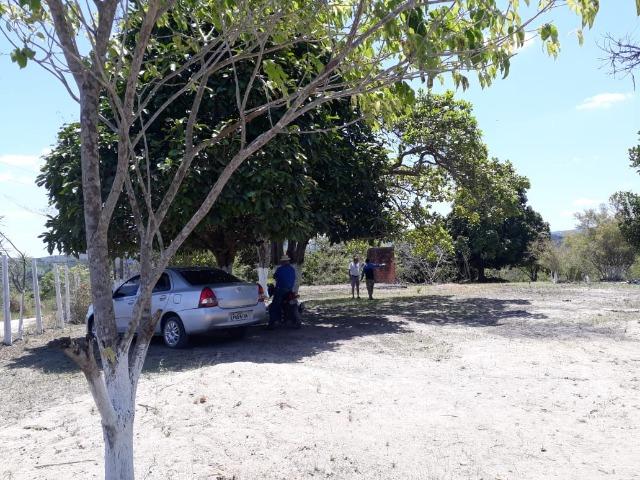 Belíssimo sitio em Chã Grande (o melhor e mais saudável clima de PE) - Foto 3