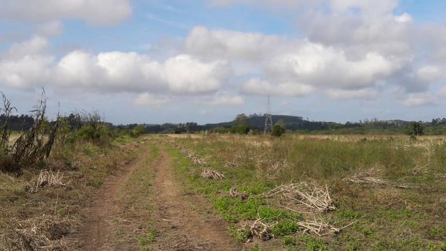 Terreno em Sangão próximo ao acesso do Aeroporto Regional - Foto 7