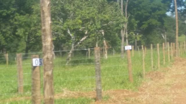 Chácaras em Leopoldo de Bulhoes 2.000 m2