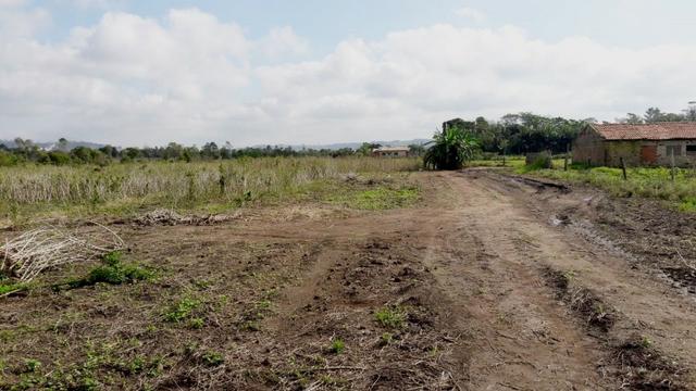 Terreno em Sangão próximo ao acesso do Aeroporto Regional - Foto 11