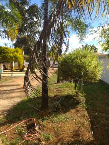 Linda Casa em Vicente Pires! - 4 suites - Foto 15