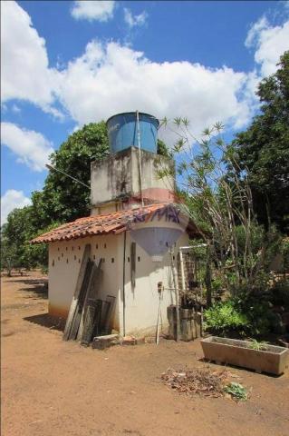 Excelente propriedade, pronta de tudo. Porteira Fechada. - Foto 7