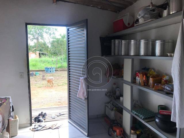 Sítio 11,8 ha na região distrito da guia - Foto 19
