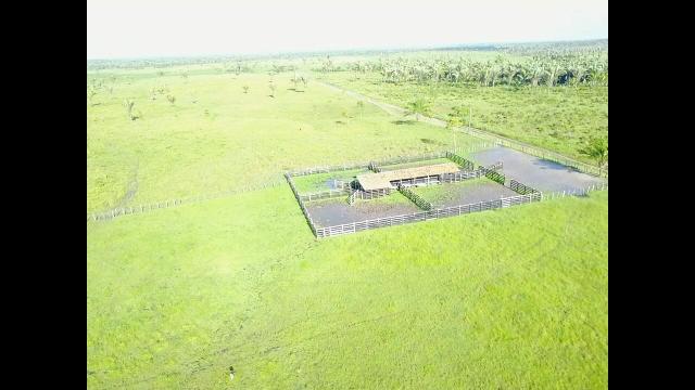 Oportunidade Única - Vendo Fazenda 1000 ha - Foto 2