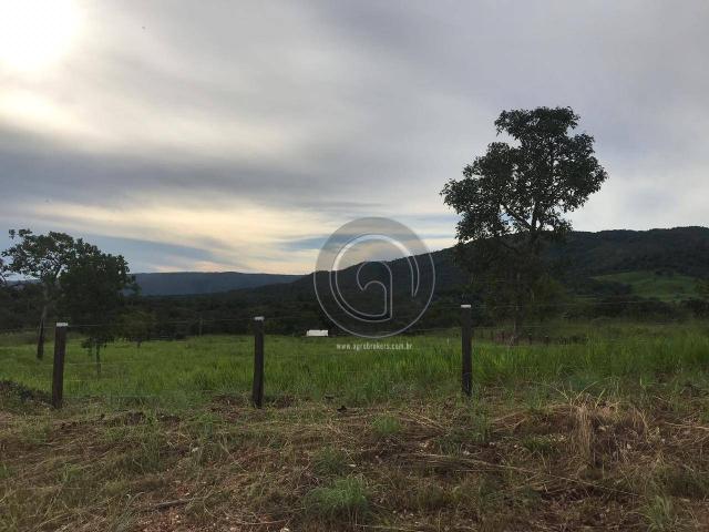 Sítio 11,8 ha na região distrito da guia - Foto 7