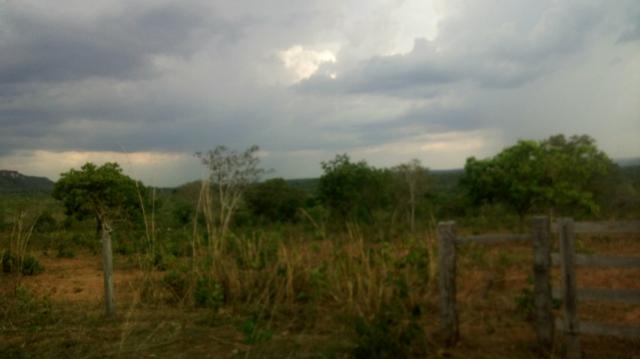 Sitio na jangada roncador
