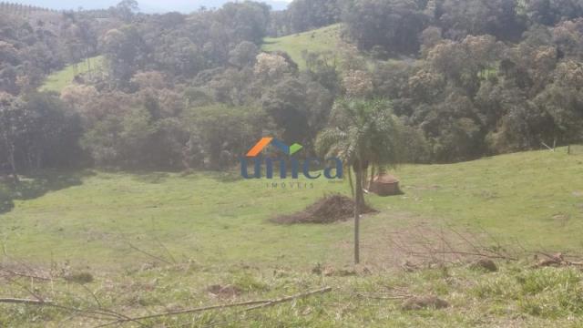 Campo alegre, campinas - Foto 5