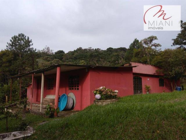 Chácara residencial à venda, Jardim das Palmeiras, Juquitiba. - Foto 6