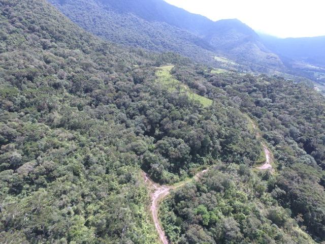 Sitio em Urubici /chácara em Urubici /área rural em Urubici - Foto 8