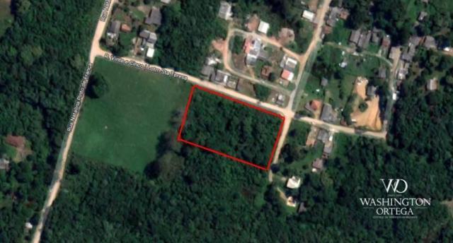 Área à venda, 5000 m² por r$ 800.000 - borda do campo - são josé dos pinhais/pr