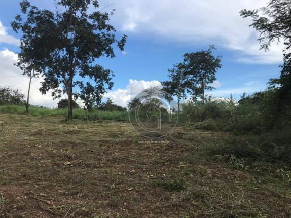 Sítio 11,8 ha na região distrito da guia - Foto 11